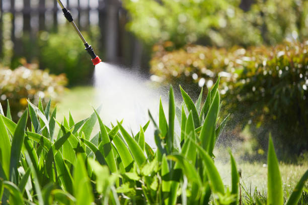 24/7 Emergency Mosquito Control experts in Ronkonkoma, NY