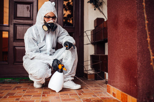 Reliable Mosquito Control contractor in Ronkonkoma, NY by Show Me Pest Control